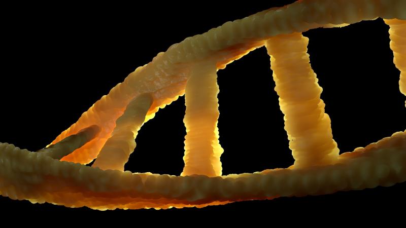 Во многих странах эксперименты над человеческим геномом вне закона или сильно им ограничены