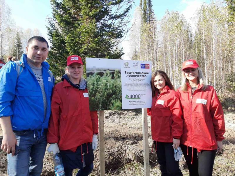 Федеральный экопроект «Подари лес другу!» помогает восстановлению лесов в России уже на протяжении 5 лет