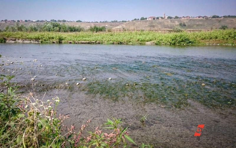 Озеро Алебашево очистят от загрязнений через два года