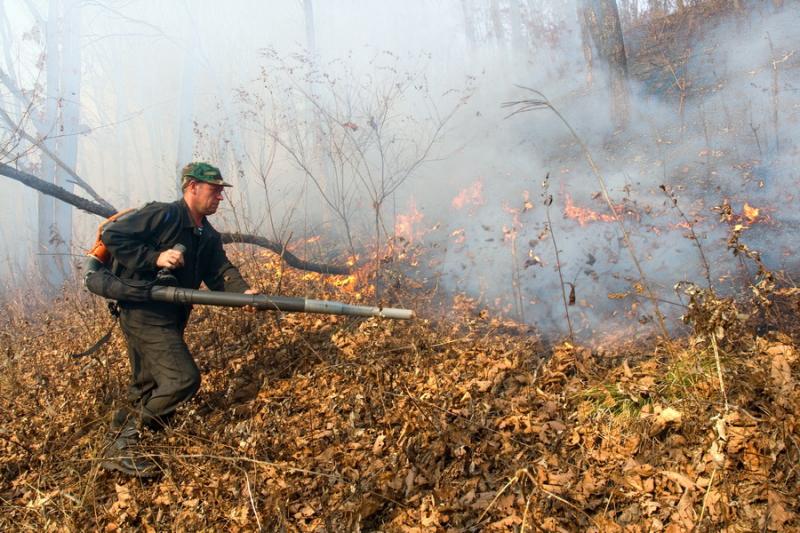 Лесной пожар в Хакасии.
