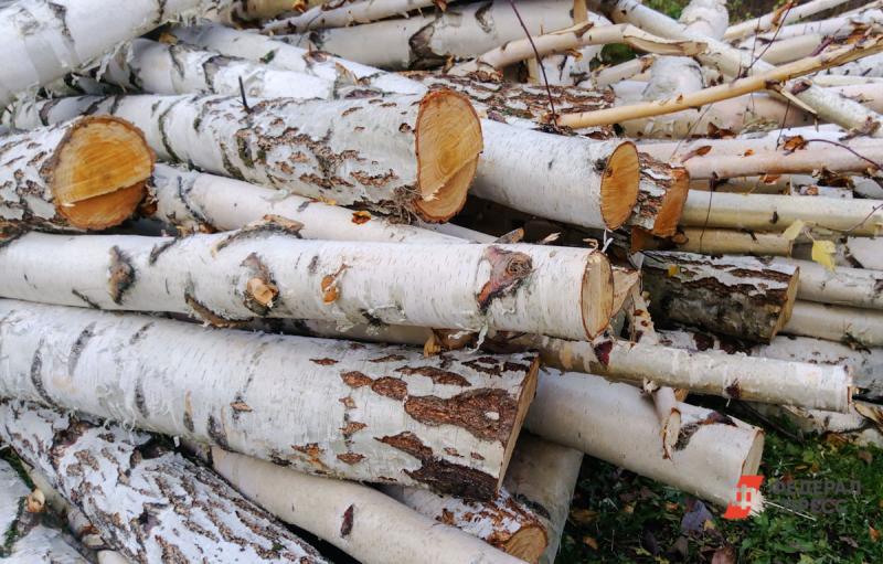 План по борьбе с незаконным оборотом древесины будет дополнен и выйдет в новой редакции до конца 2019 года.