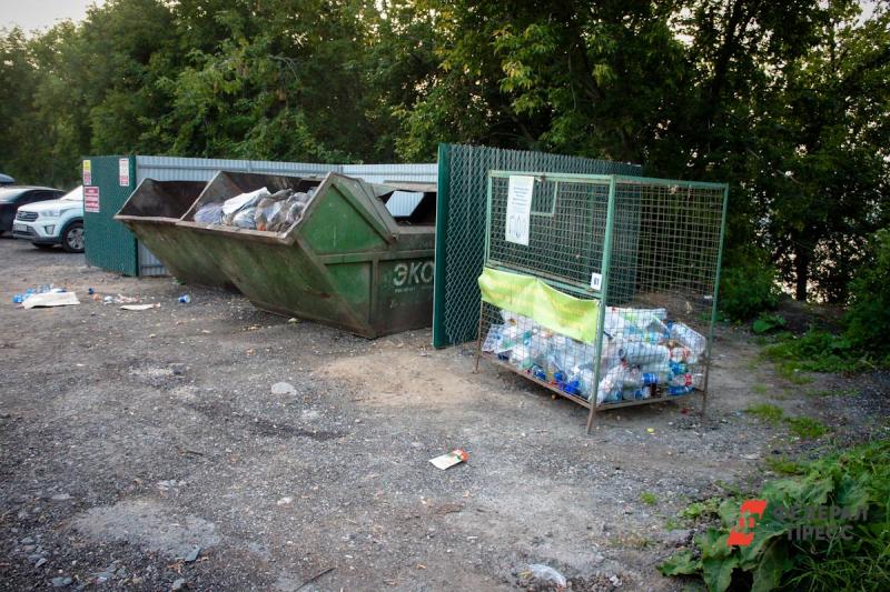 Ситуация с мусорными свалками в Ленинградской области начала обостряться еще в начале двухтысячных