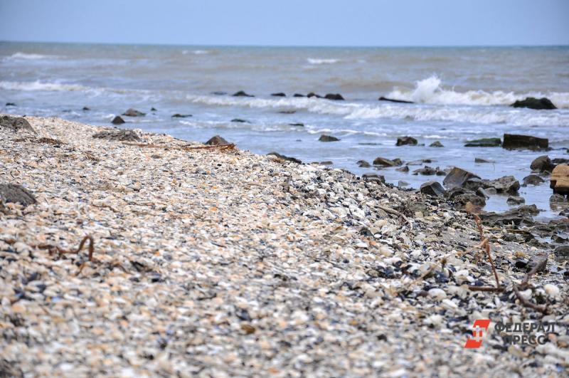 На Кубани жители зафиксировали сильный отлив Азовского моря