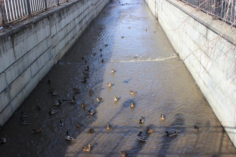 В Екатеринбурге назначен новый директор Водоканала