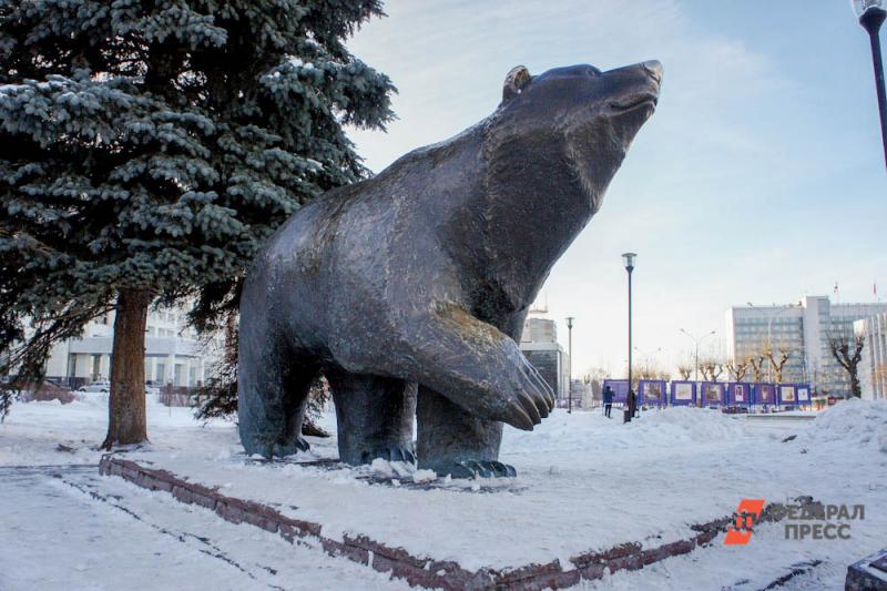 Более половины россиян назвали медведя символом страны