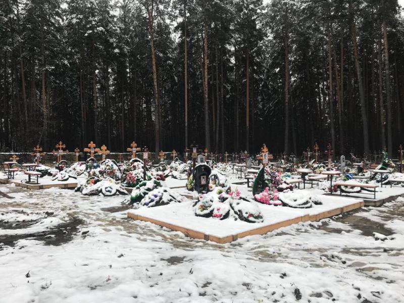 Дмитрий Нисковских столкнулся с противостоянием при попытке навести порядок на местных кладбищах