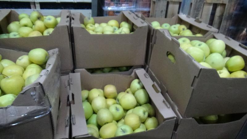 Партию яблок неизвестного происхождения обнаружили екатеринбургские таможенники
