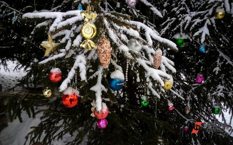 Стали известны самые популярные города для путешествий на Рождество в декабре