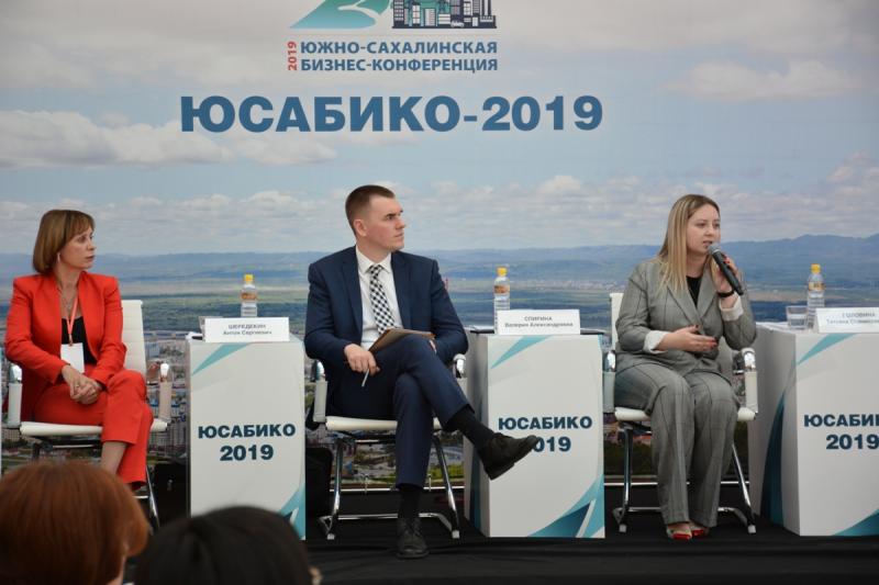 В 2019 году в Сахалинской области для улучшения инвестклимата реализуют сразу три амбициозных проекта
