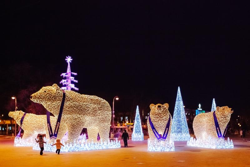В Тюмени выбирают имена для светящихся белых медведей