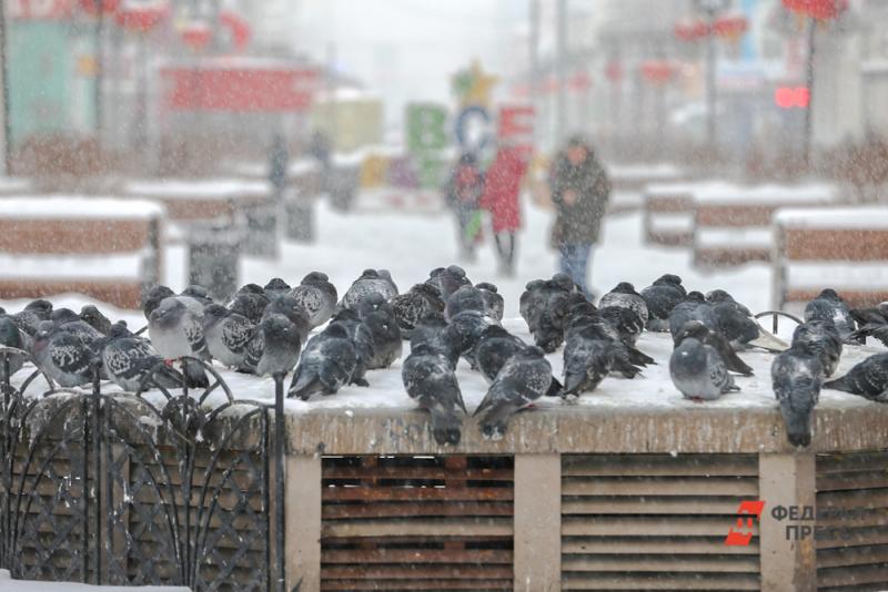 Сегодня и завтра в сибирском регионе объявлено штормовое предупреждение