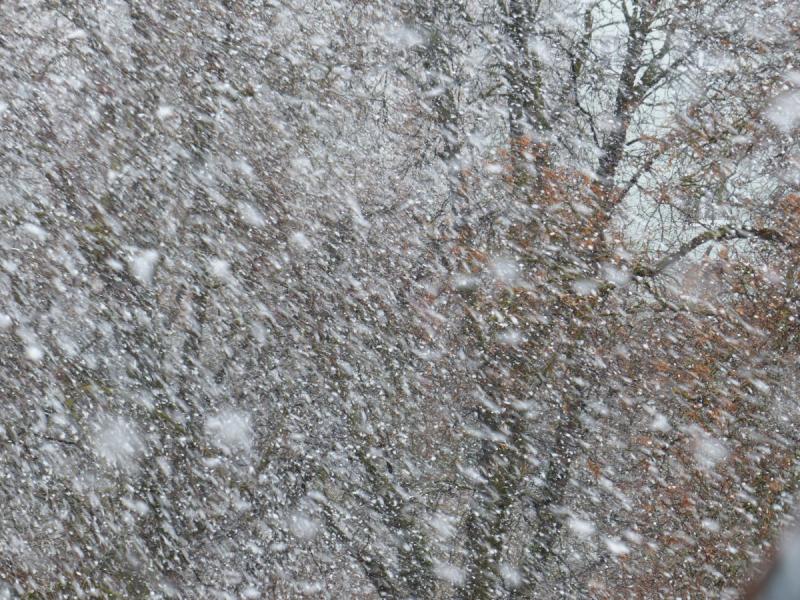 За снегопадом в Омск придут похолодания до -30 градусов