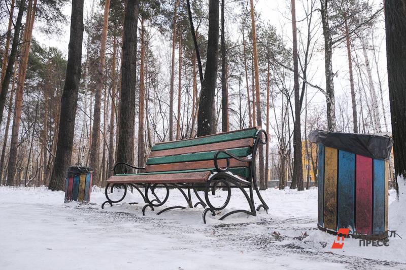 Жители Барнаула хотят восстановить парк, а не вырубать деревья