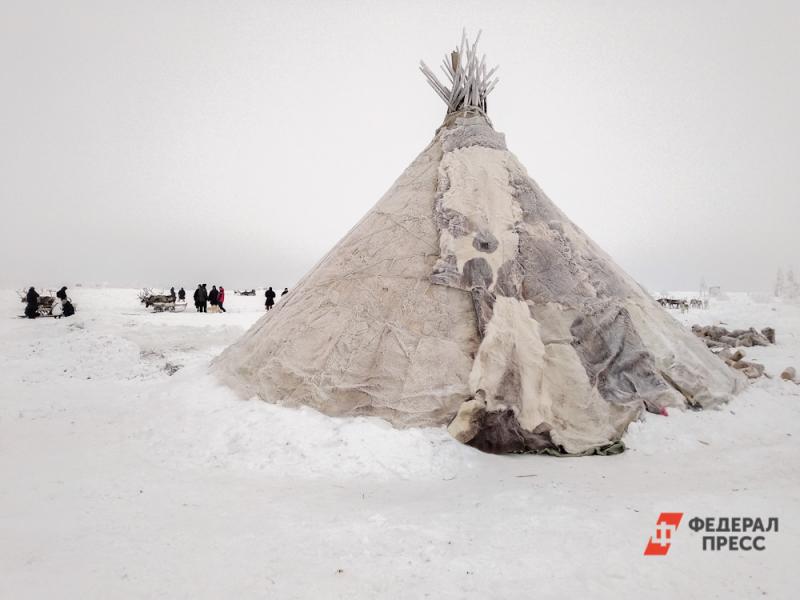 На Ямале построят международную арктическую станцию