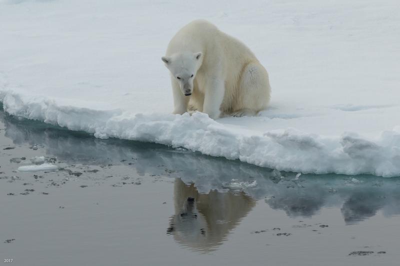 Правительство Ямала выделит 15 млн руб. на экспедицию в Арктику