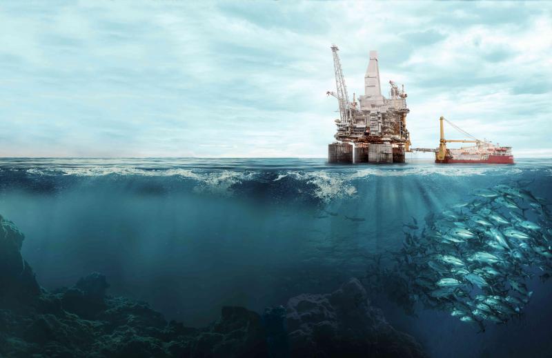 Результаты исследований лягут в основу природоохранной деятельности компании в Арктике