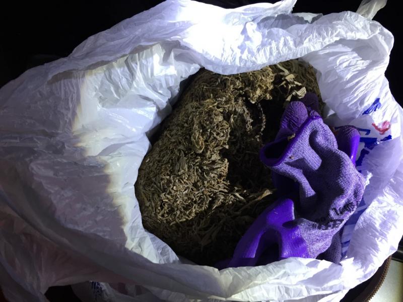 В Красноуфимске инспекторы ГИБДД задержали автомобилиста с рюкзаком  марихуаны
