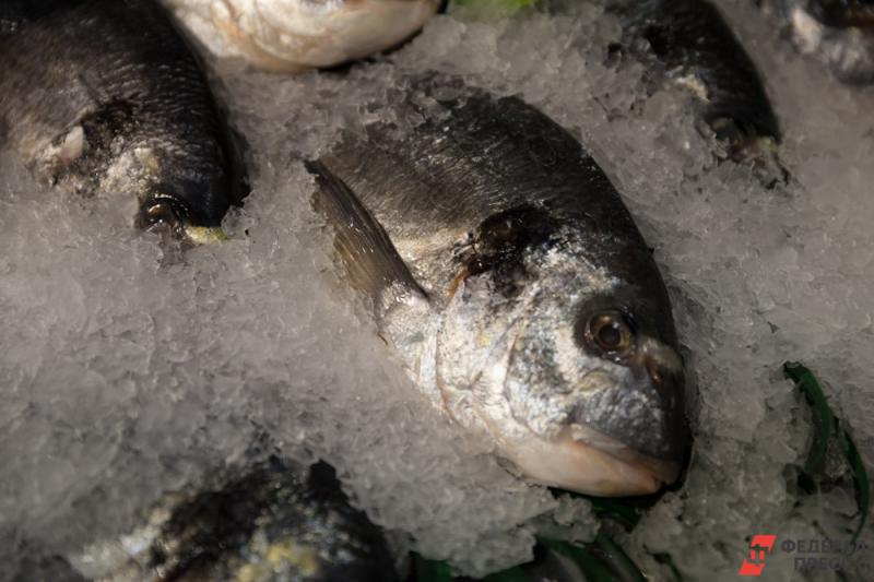 В России появились индикаторы для определения повторной заморозки рыбы