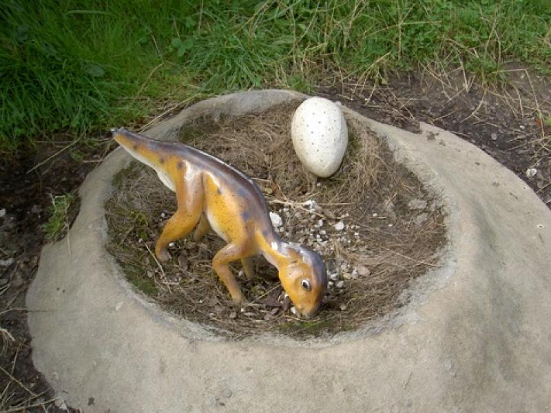 Яйцо динозавра