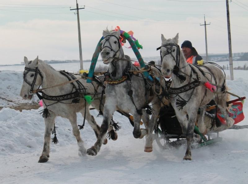 Забеги русских троек на льду Ангары в Иркутске, которые проводились два года подряд,  в этом году могут не состояться