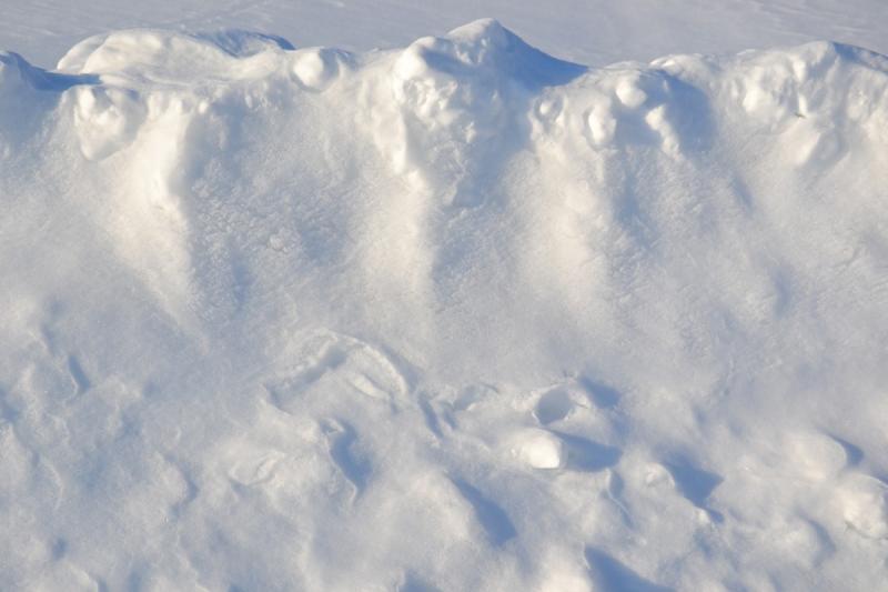 Несанкционированный снежный полигон устроили в нескольких километрах от федеральной трассы