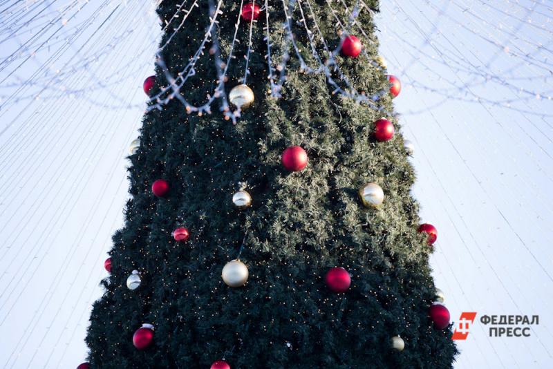 Для создания новогодней красавицы на центральной площади города использовали свыше 200 сосен