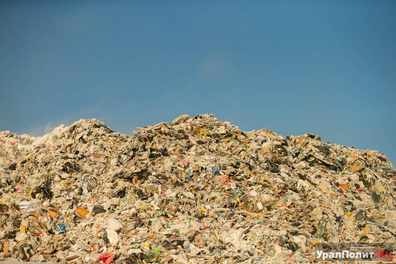 Источником запаха являются поля фильтрации жидких отходов на мусорном полигоне в Майминском районе