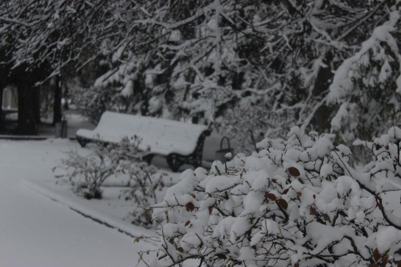 В Челябинской области пойдет сильный снег