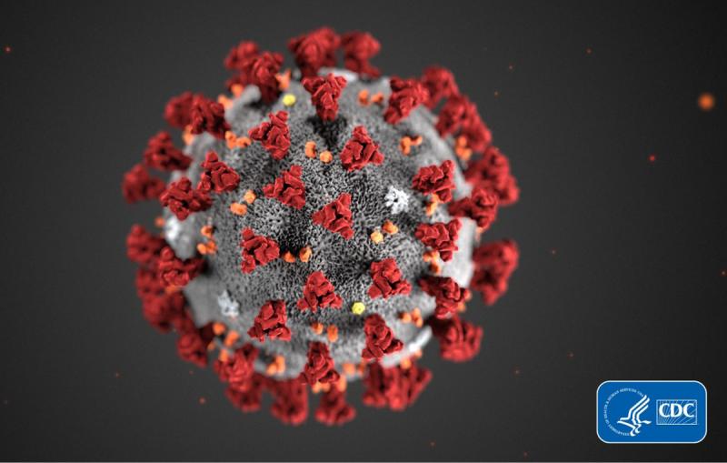 В Африке подтвержден первый случай заболевания коронавирусом