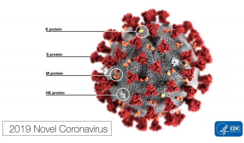 В Роспотребнадзоре дали советы, как защититься от заражения коронавирусом