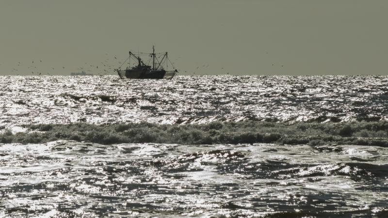 В Азовском море были задержано браконьерское судно