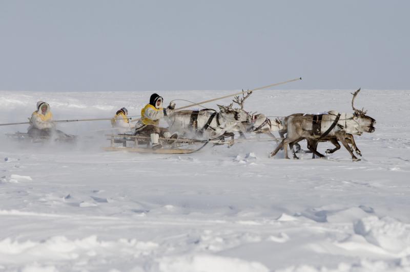 На «Арктике-2020» о перспективах северных регионов расскажет замглавы Минвостокразвития