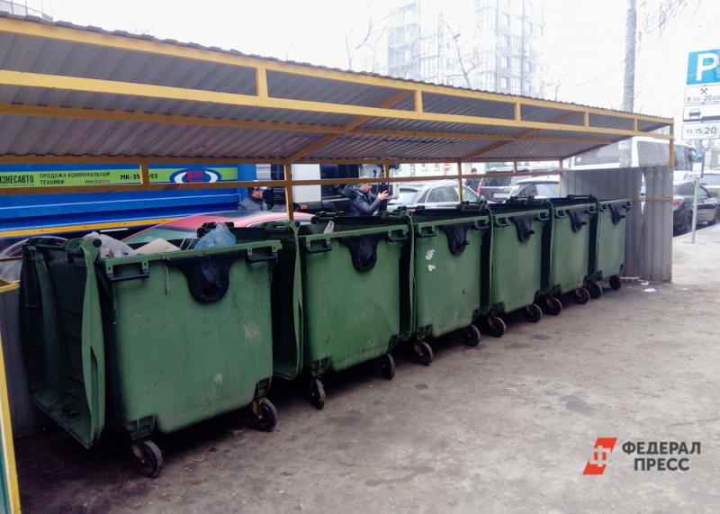 Новосибирский регоператор не вывозил мусор в Искитиме