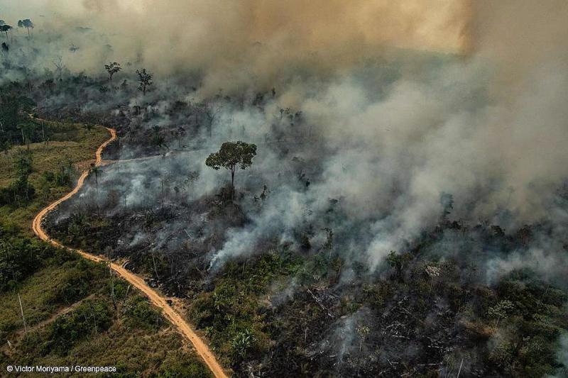 Томская область вошла в число лучших регионов по борьбе с лесными пожарами