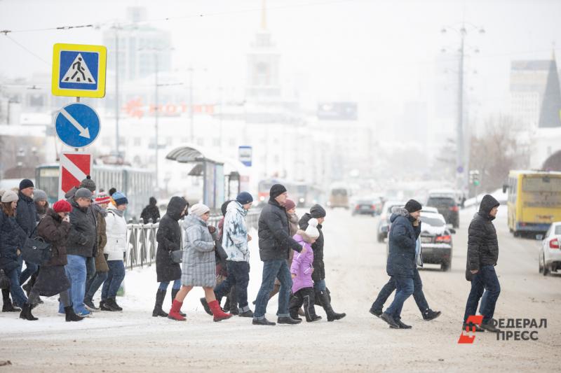 Всероссийская перепись населения впервые пройдет в электронном виде