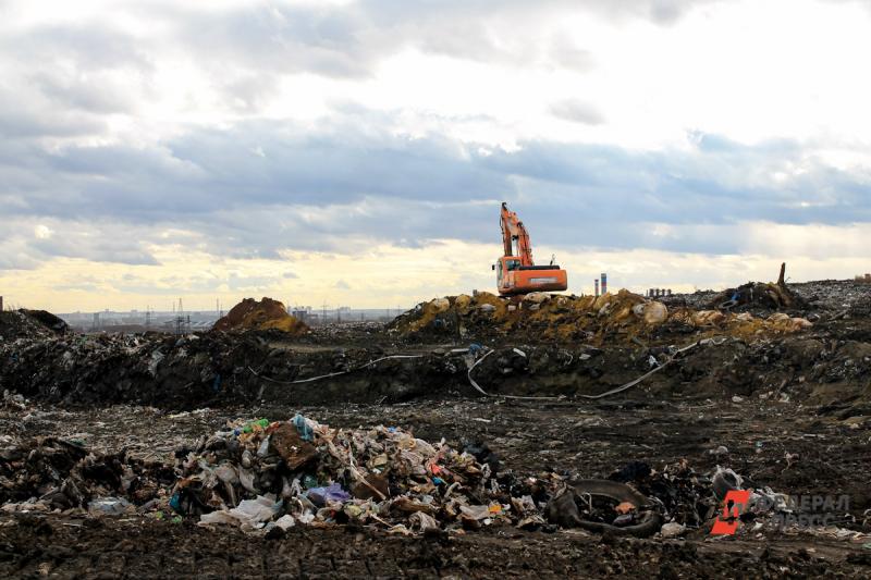 Работы по ликвидации мусорного полигона начались в 2018 году