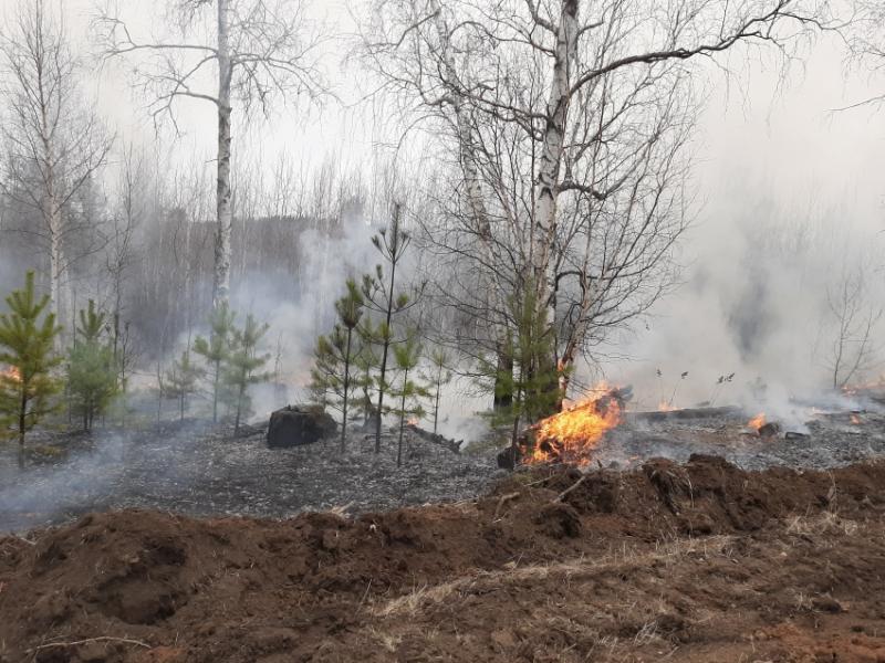 В Забайкальском крае горит природный заказник