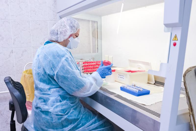 Новосибирские лаборатории за два дня сделали 3865 тестов на коронавирус