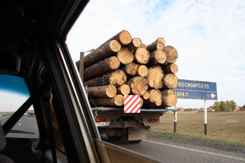 Новосибирские депутаты разрешат властям контролировать использование льготной древесины