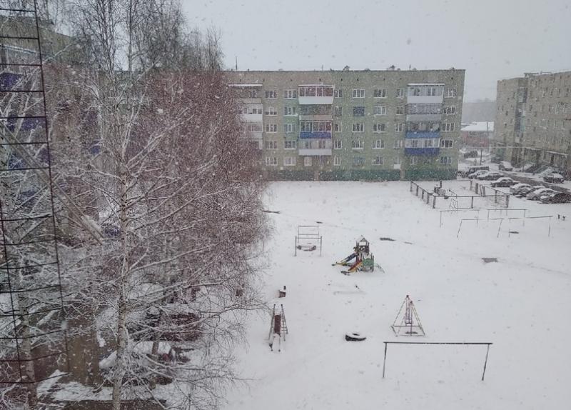 Пользователи соцсетей делятся фотографиями внезапно выпавшего снега
