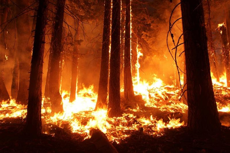 На территории Абазинского лесничества продолжается борьба с огнем в труднодоступной таежной местности