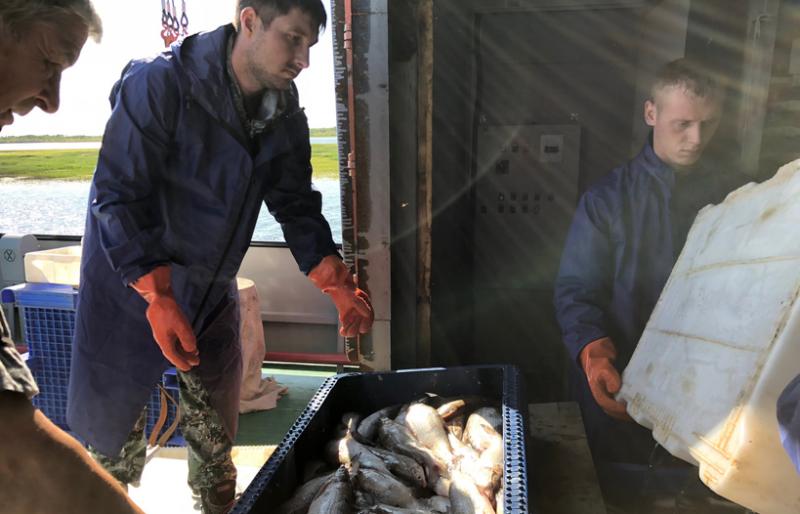 На Ямале рыбаки получили дополнительное время на промысел из-за ранней весны