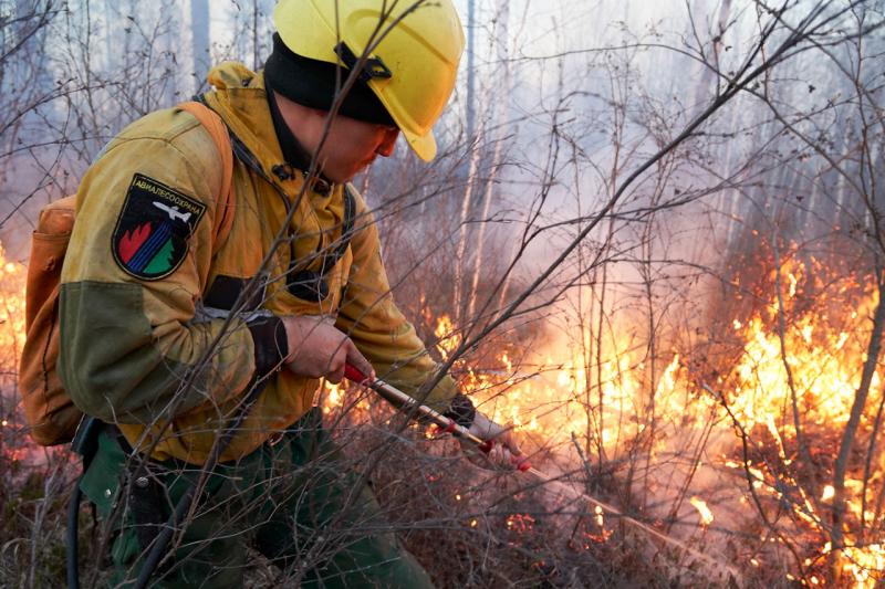 Лесные пожары на Ямале захватывают новые площади