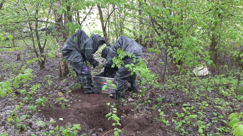 В лесу под Брянском нашли почти 30 кг ртути