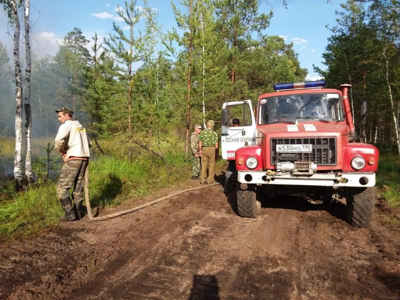 В Свердловской области оштрафовали 168 людей за нарушение противопожарного режима