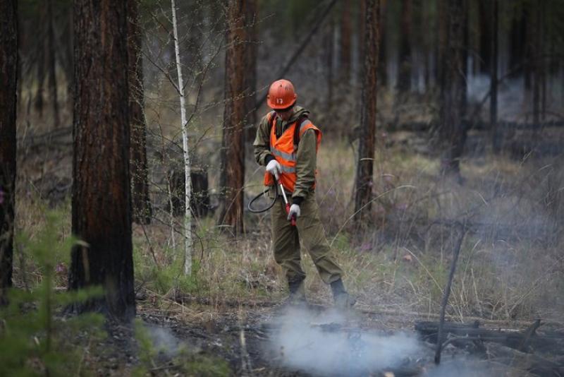 В пожароопасный период областной лесхоз вошел имея 60-миллионную задолженность