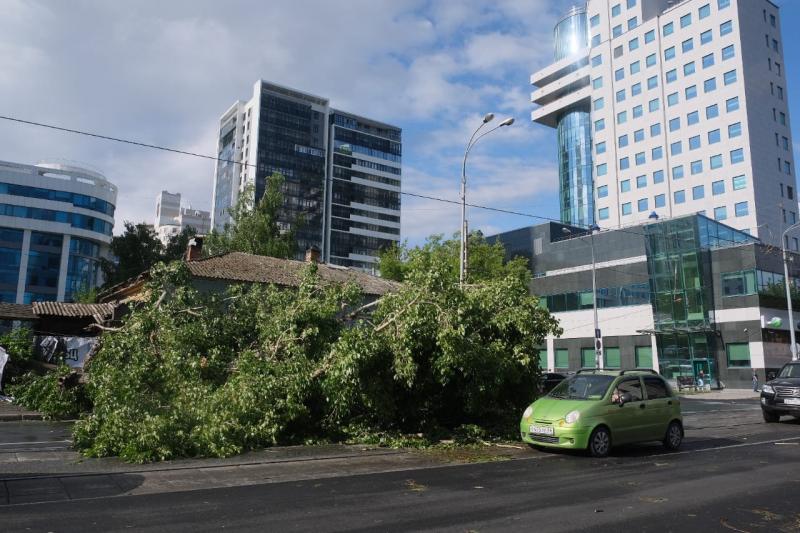 В Екатеринбурге гроза и сильный ветер нанесли повреждения деревьям