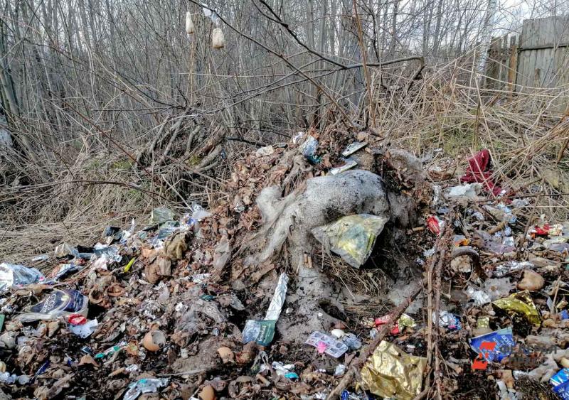 Суд признал необходимость ликвидировать полигон отходов в Нежинке еще осенью 2019 года