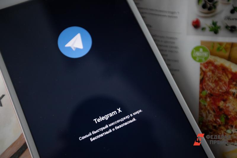 Законопроект уральского депутата Ионина о разблокировке Telegram внесен в Госдуму