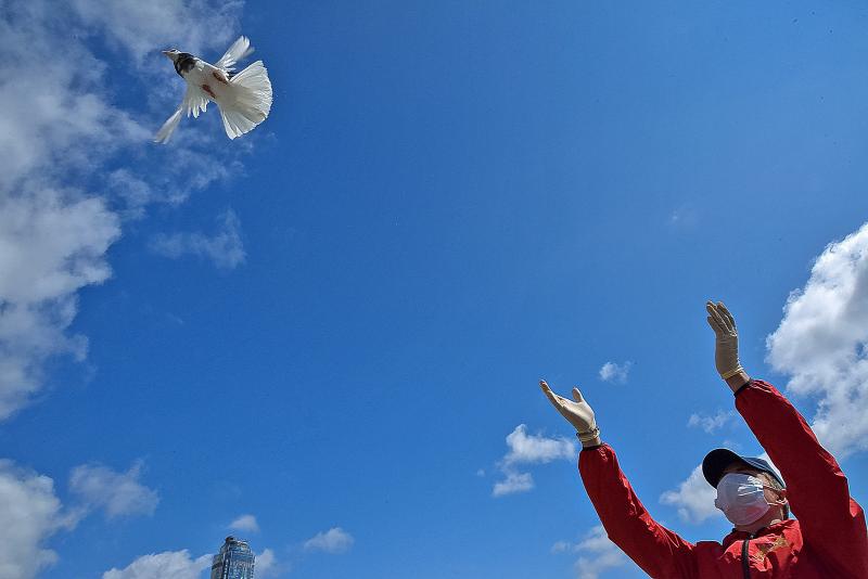 В Екатеринбурге запустили в небо 75 белых голубей в память о погибших в Великой Отечественной войне